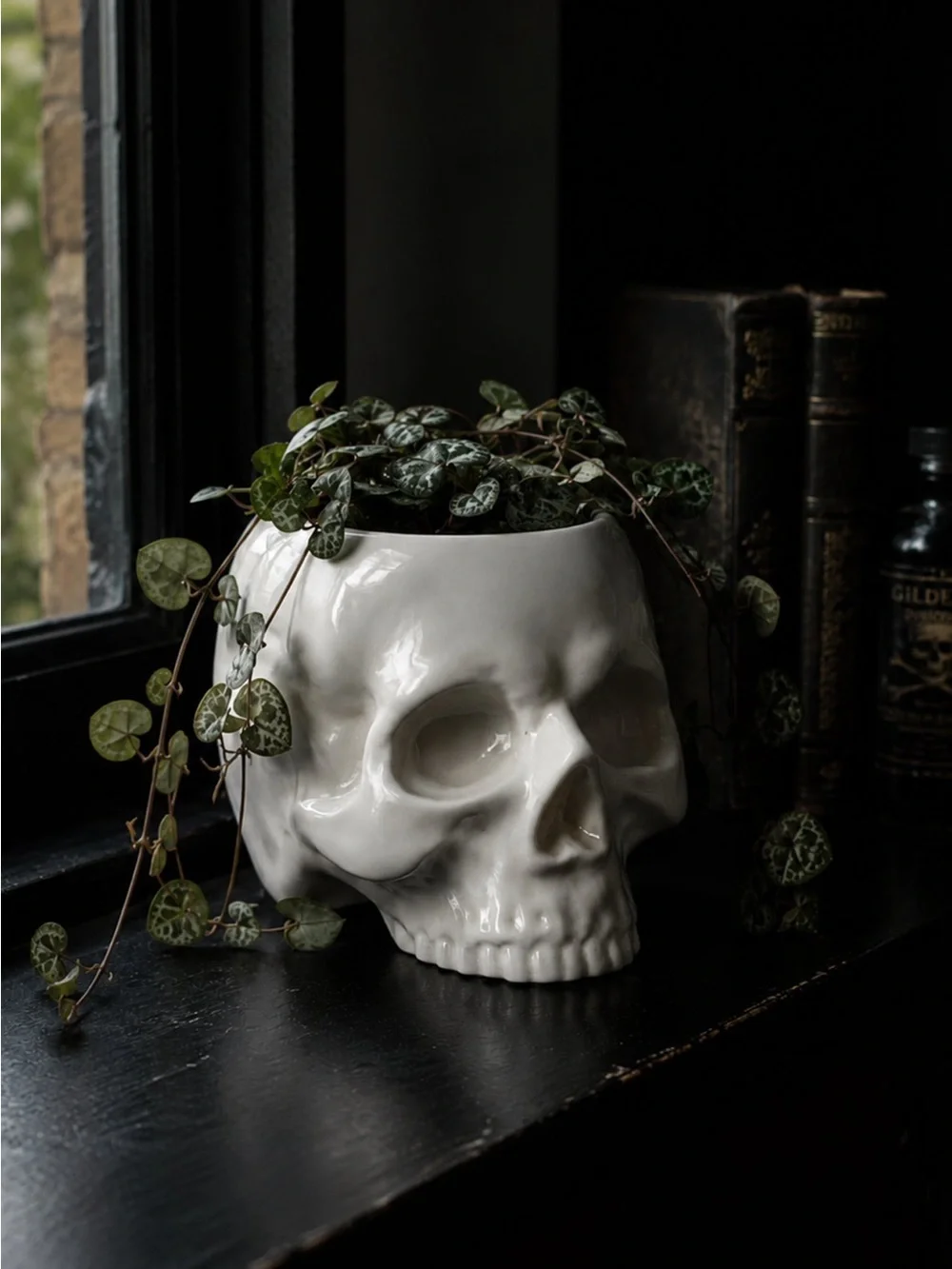 Ceramic White Skull KILLSTAR Planter - Decorative Home Accent